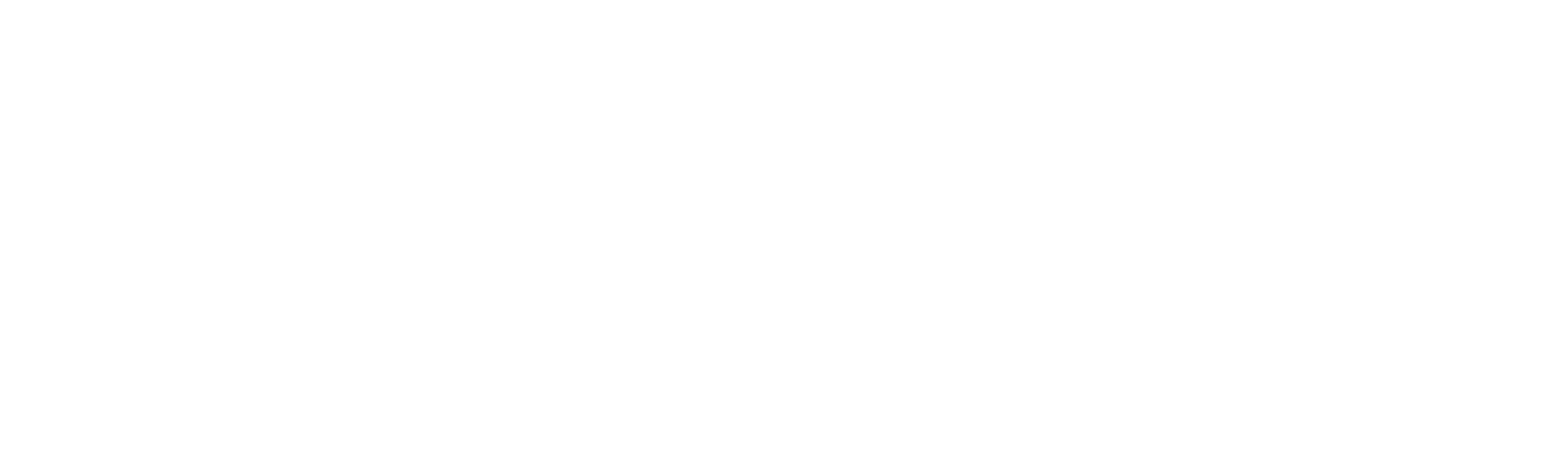 Parallel Parliament